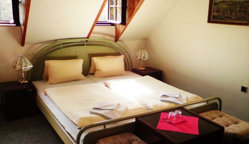 Pension Teddy Český Krumlov - Dvoulůžkový pokoj